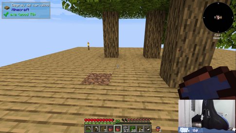 PT/EN Boa Noite | Minecraft Skyblock |  !discord !termo !insta !arroto !pix !yt !tiktok