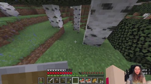 New server, new projects, same fails? FINALLY back to Minecraft!