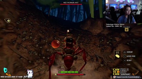 Added BLERPS. Don't make me regret it LOL | Let's play GROUNDED 2~ - Tip !Menu !Kofi