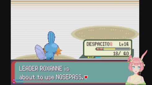 【JUST CHATTING】minhayo :3┊ chatting + POKEMONS┊NO SPOILERS OR BACKSEATING ┊ !command !comms !discord !socials