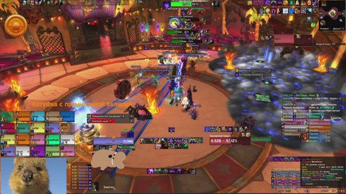 Raid mage/sham/wl
