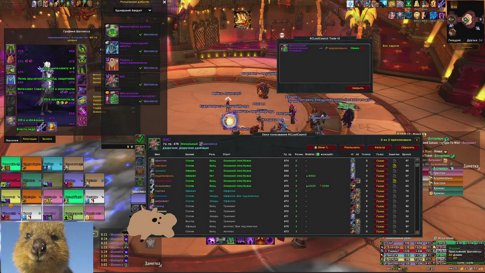 Raid mage/sham/wl