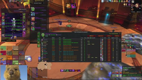 Raid mage/sham/wl