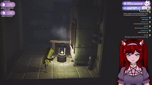 ✨🐈Katze hat auf “Start Stream” gedrückt… ups🐾 ⋯✦