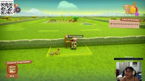 Vem ver a streamer falida