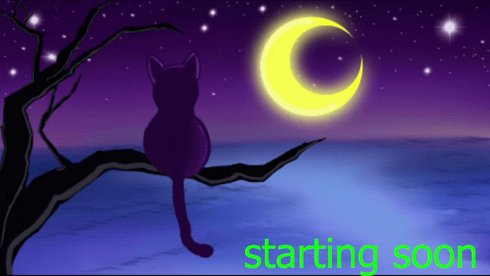 ℂ𝔸𝕋𝕒𝕤𝕥𝕣𝕠𝕡𝕙𝕚𝕔 𝕄𝔼𝕆𝕎𝕤𝕚𝕔𝕒𝕝 ~ 🌙 Random MEWsic✨️