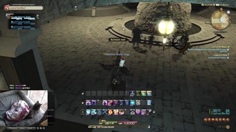 ARR Patch 2.2 MSQ -- New GPU -$400 gonna cry w/ cat cam