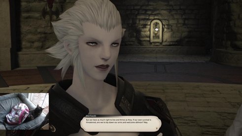 ARR Patch 2.2 MSQ -- New GPU -$400 gonna cry w/ cat cam