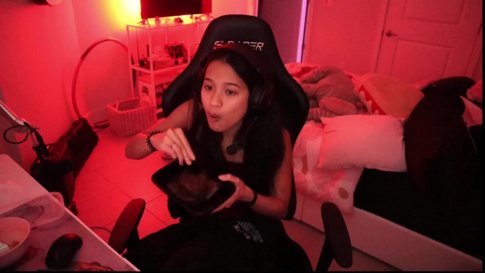 grinding my pink tree-mansion ♡