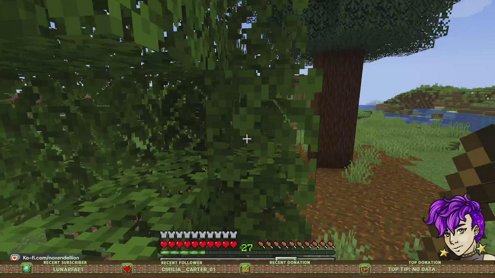 Crowd Controlled Minecraft