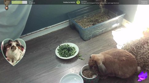 [!raices] first stream of the year waow !resources !support !mask