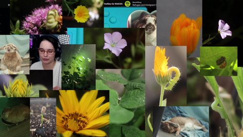 [!raices] first stream of the year waow !resources !support !mask