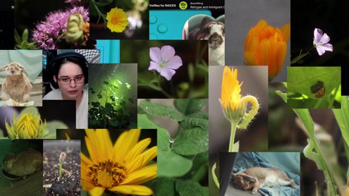 [!raices] first stream of the year waow !resources !support !mask