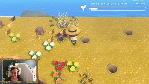 ✧.*cozy morning stream ~ making a cover & starting reptile island!*.✧