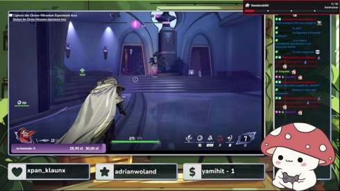 ₍^. .^₎⟆ stream do herbatki/kawusi :3 ₍^. .^₎⟆