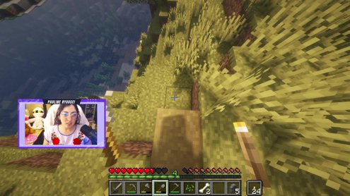 mini mirror - minecraft