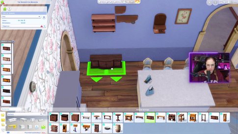 🐼✨ [Construction] Bridgerton's vibes