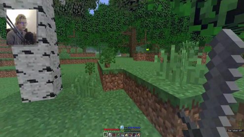 Just vibiin - RLcraft