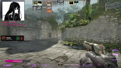 faceit (delay 30s)
