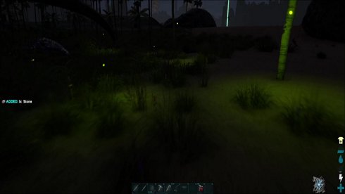 Rev Up those Dinos !