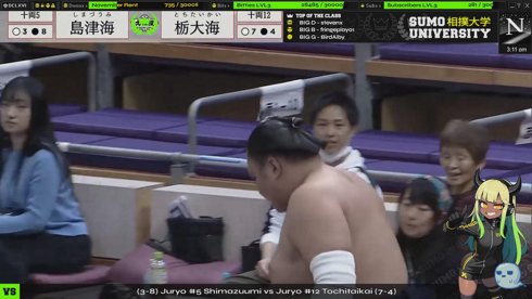 🔴 LIVE SUMO // English // Day 12 Kyushu Basho live from Fukuoka