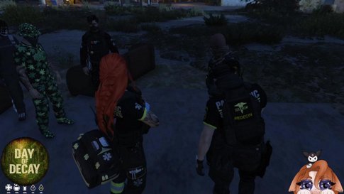 {DAY OF DECAY} Nyx : Service EMS ! ♥ | [+18] !server !carrd !commands