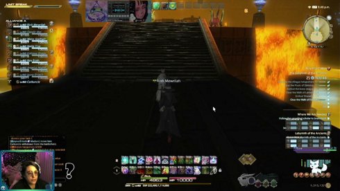 Did you know i started FFXIV