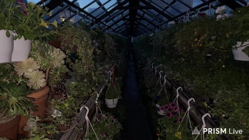 [+ENG] ЧАЙНАЯ ЦЕРЕМОНИЯ В САДУ + ШАШЛЫК / GARDEN WALKING AND BBQ PLACE