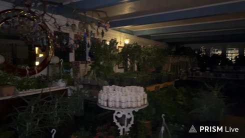 [+ENG] ЧАЙНАЯ ЦЕРЕМОНИЯ В САДУ + ШАШЛЫК / GARDEN WALKING AND BBQ PLACE