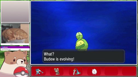 Revisiting Kalos Before ZA! | Pokemon X | !game !schedule