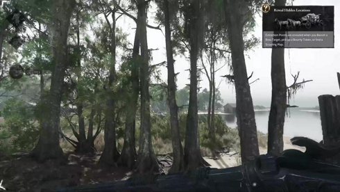 🌡️ La chaleur dans le bayou.