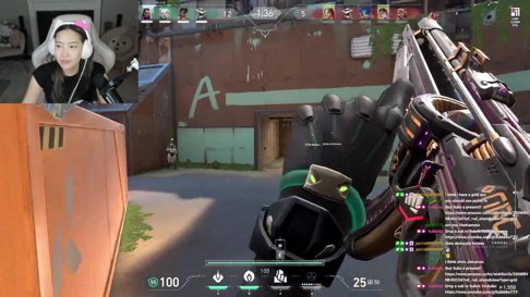 ur fav is back! | !youtube !socials !discord