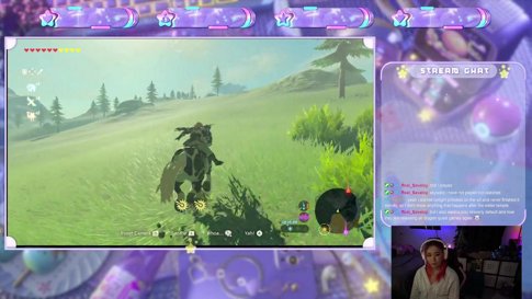 omw to save zelda (follow goal / 1,603/2,000)