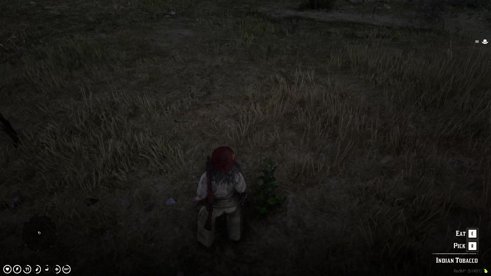💫 Meemaw - Short Stream 💫 Red Dead Roleplay 💫 WhiskeyRidgeRP