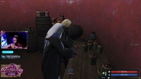 🪄 Une soirée à l’école de magie l 2eme année 🎓 (SevenWands) GTA RP ✨