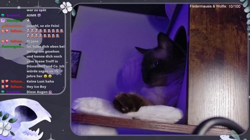 ZEEPKIST mit der Lobby von Dhalucard, Smeggy und co <3