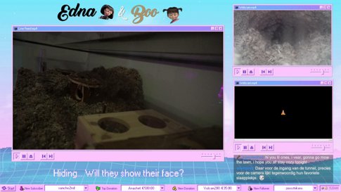 LIVE Gerbil cam! 🐹 |  Edna 🖤  & Boo 🤎 (3 months old)
