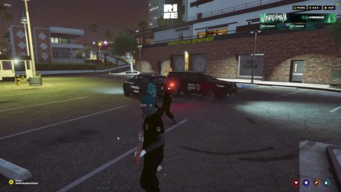 RISE - D.I.P 🚨 DELEGADA VERDINHA - !rise !pix