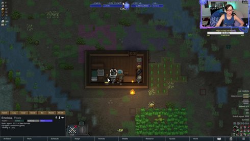 Lost the colony, we go againe - RANDY / NB / LIF / Twitch Chat Pawns