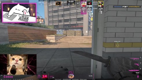 Plan: Open End Stream / Realität: Trauern um verlorene Elo | #TaubesNüsschen💕