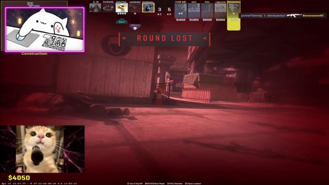 Plan: Open End Stream / Realität: Trauern um verlorene Elo | #TaubesNüsschen💕