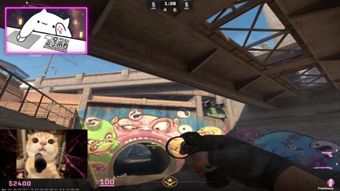 Plan: Open End Stream / Realität: Trauern um verlorene Elo | #TaubesNüsschen💕