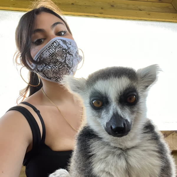 sabpie | TtvGirls - female streamers